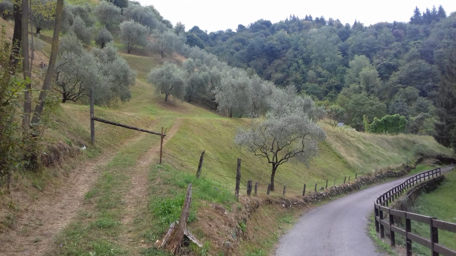 Terreno Agricolo - Sulzano
